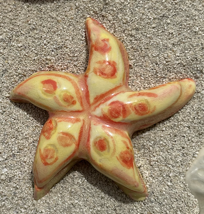 Yellow Magnet Starfish