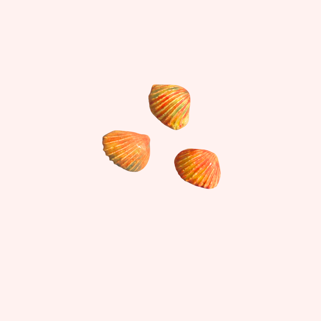 Tiny Magnet Orange Shell #2