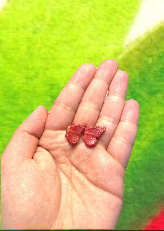 فراشات رمضان Ramadan Butterflies