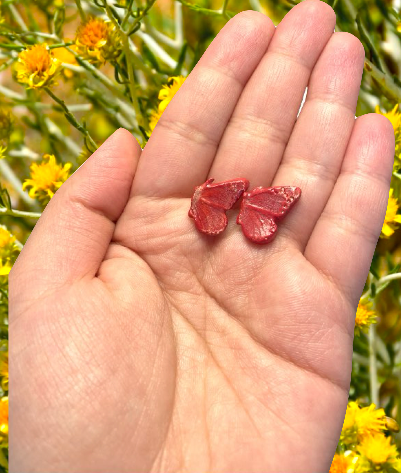 فراشات رمضان Ramadan Butterflies