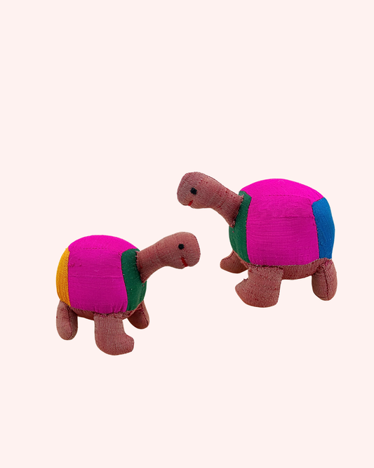 Joyfull Tortoise