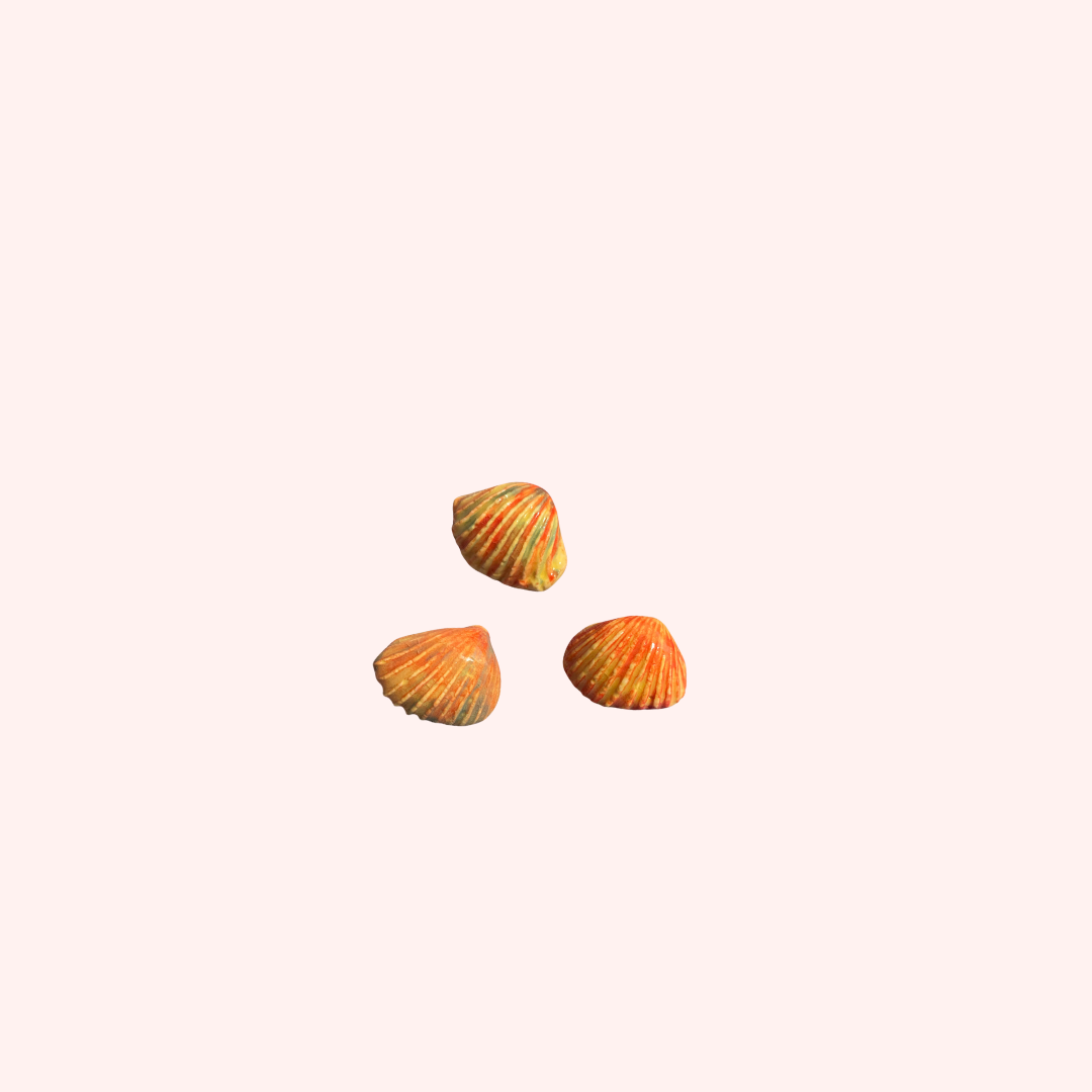 Tiny Magnet Orange Shell #3