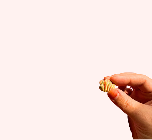 Tiny Magnet Orange Shell #1